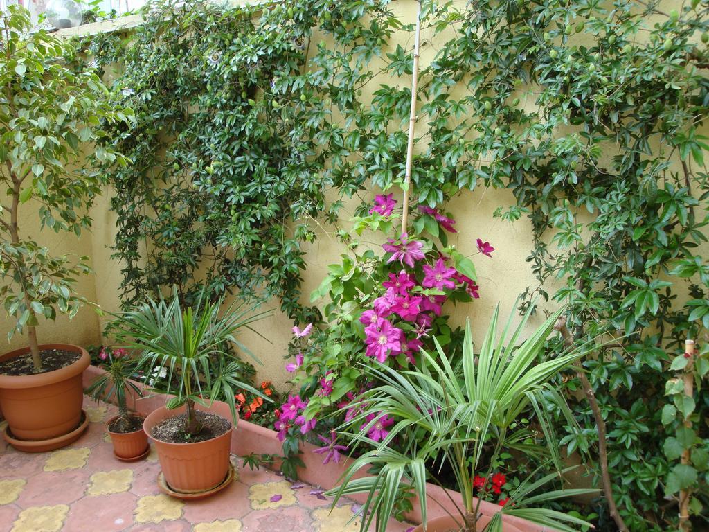 Stela Guest House Tsarevo Exterior photo